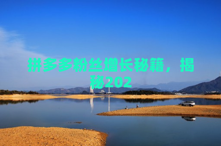 拼多多粉丝增长秘籍，揭秘2025年必学的粉丝获取策略！