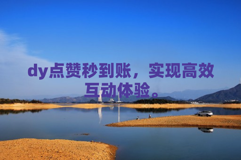 dy点赞秒到账，实现高效互动体验。