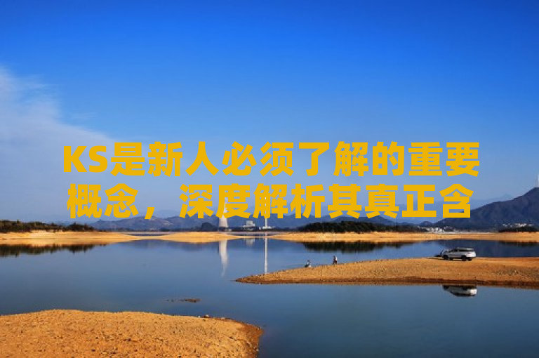 KS是新人必须了解的重要概念，深度解析其真正含义至关重要。