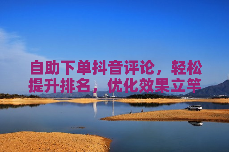 自助下单抖音评论，轻松提升排名，优化效果立竿见影。