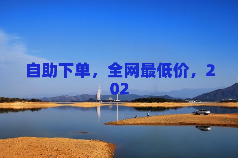 自助下单，全网最低价，2025必备技能揭秘！