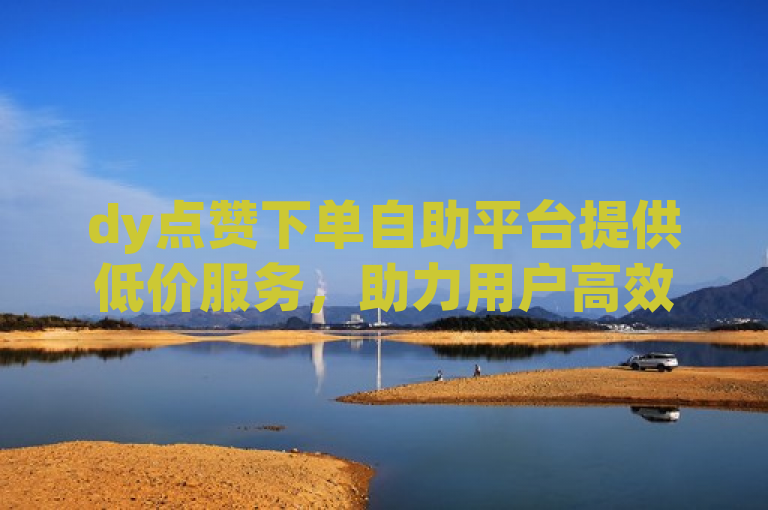 dy点赞下单自助平台提供低价服务，助力用户高效增长。