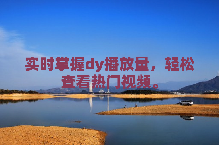 实时掌握dy播放量，轻松查看热门视频。