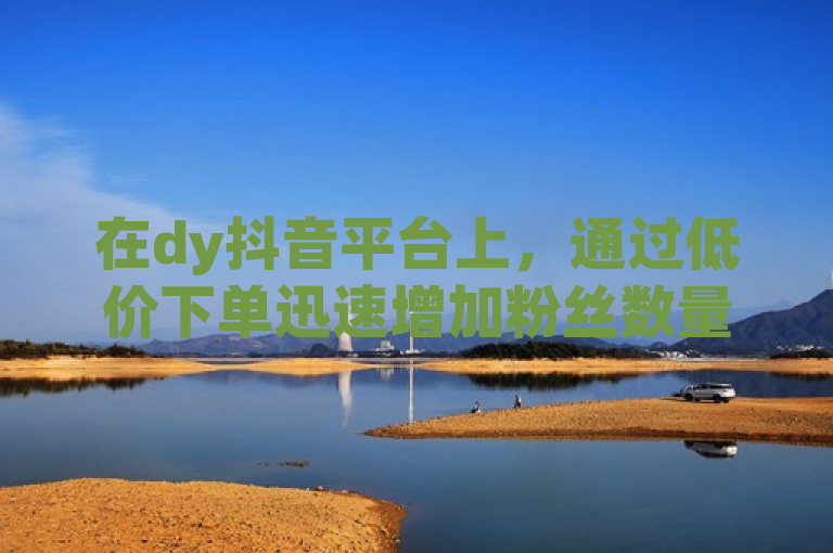 在dy抖音平台上，通过低价下单迅速增加粉丝数量。