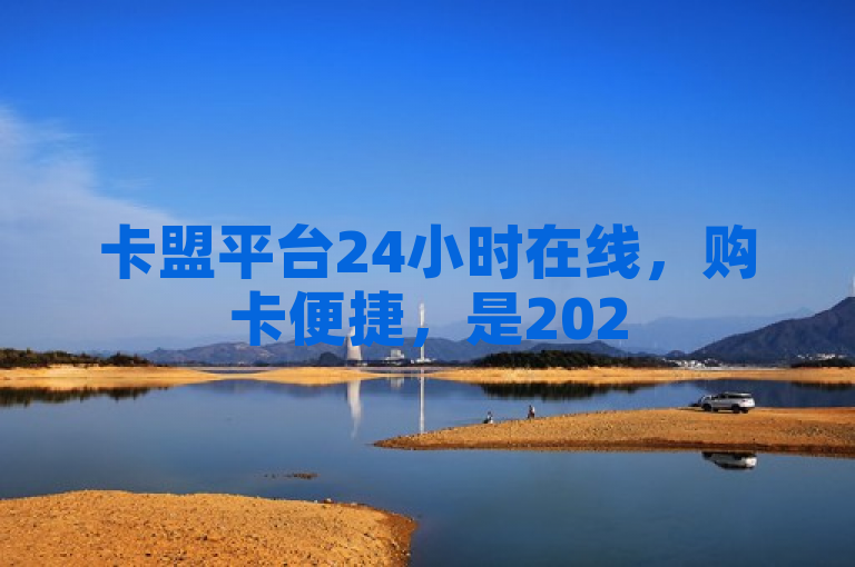 卡盟平台24小时在线，购卡便捷，是2025必备的自助购卡工具。