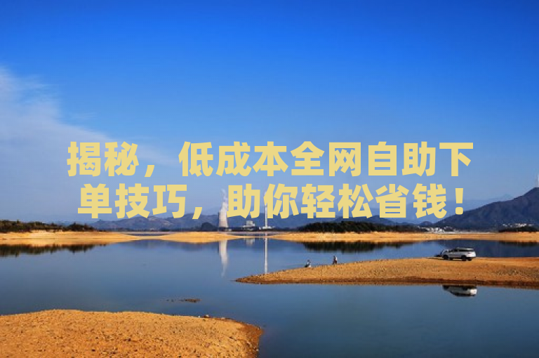 揭秘，低成本全网自助下单技巧，助你轻松省钱！