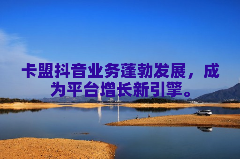 卡盟抖音业务蓬勃发展，成为平台增长新引擎。
