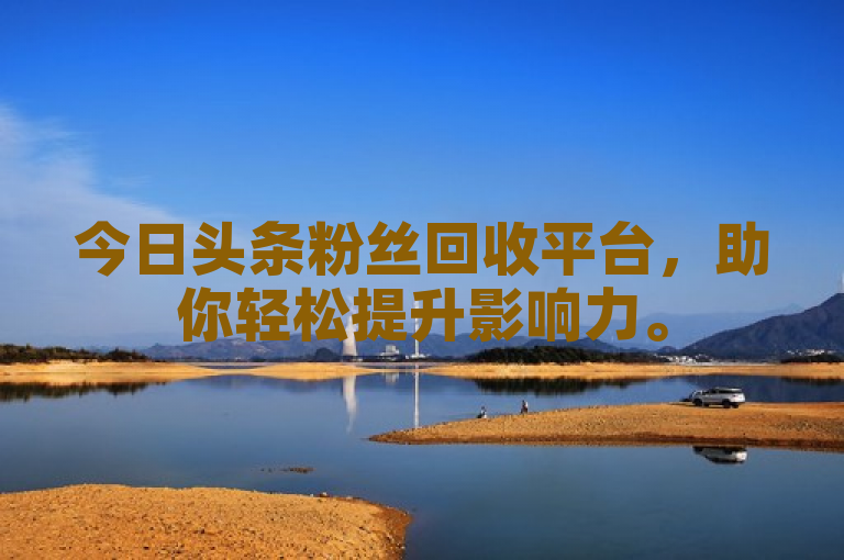 今日头条粉丝回收平台，助你轻松提升影响力。