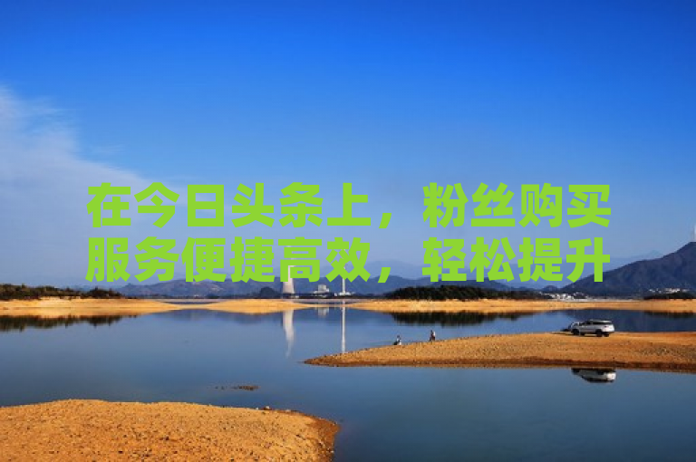 在今日头条上，粉丝购买服务便捷高效，轻松提升账号影响力。