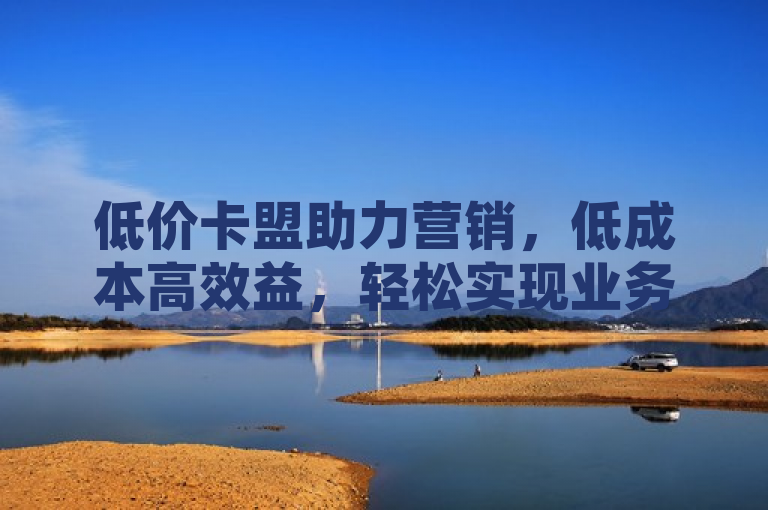 低价卡盟助力营销，低成本高效益，轻松实现业务增长。