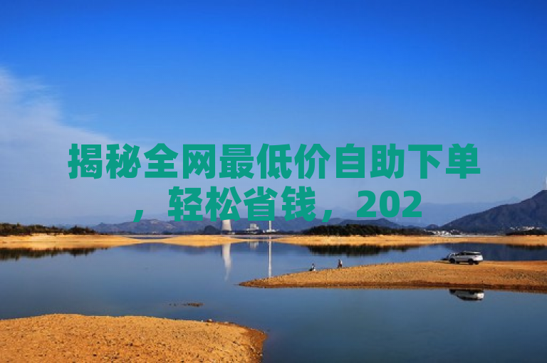 揭秘全网最低价自助下单，轻松省钱，2025必备技能！