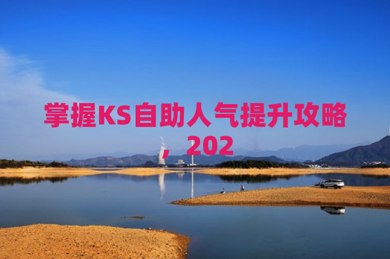 掌握KS自助人气提升攻略，2025年必学，助你成为人气王！