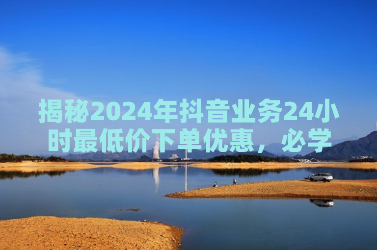 揭秘2024年抖音业务24小时最低价下单优惠，必学技巧！