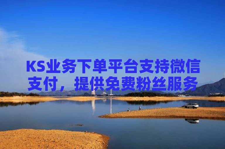 KS业务下单平台支持微信支付，提供免费粉丝服务。