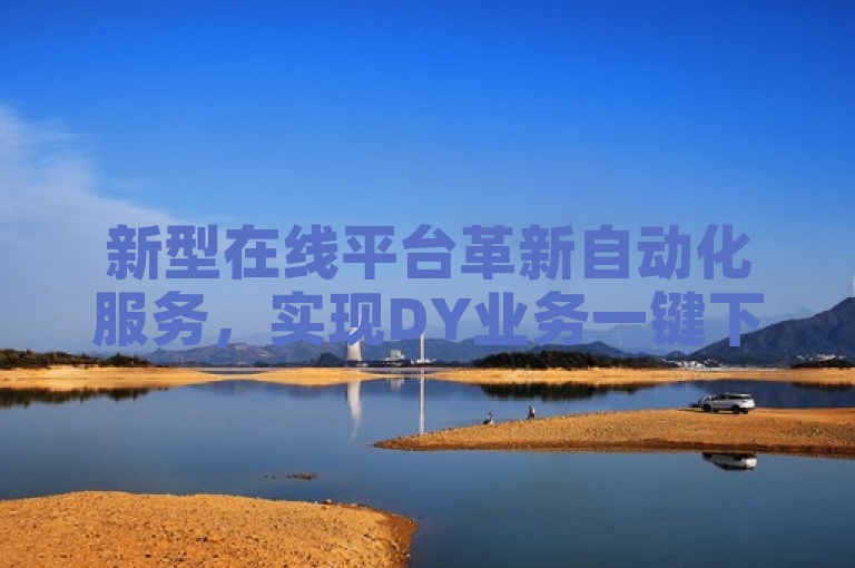 新型在线平台革新自动化服务，实现DY业务一键下单。