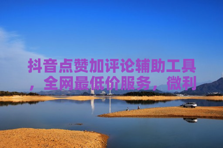 抖音点赞加评论辅助工具，全网最低价服务，微利也疯狂！