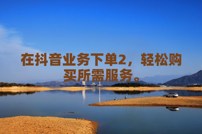 在抖音业务下单2，轻松购买所需服务。