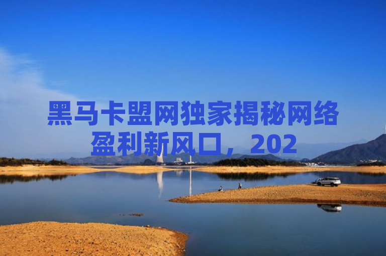 黑马卡盟网独家揭秘网络盈利新风口，2025必学！