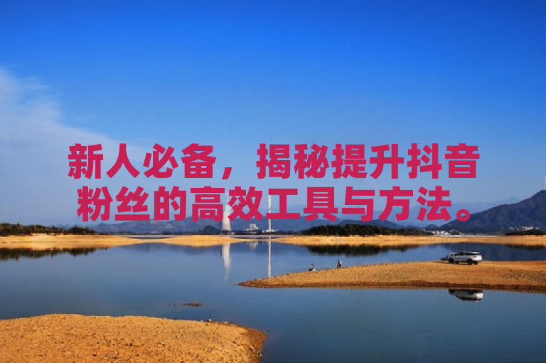 新人必备，揭秘提升抖音粉丝的高效工具与方法。