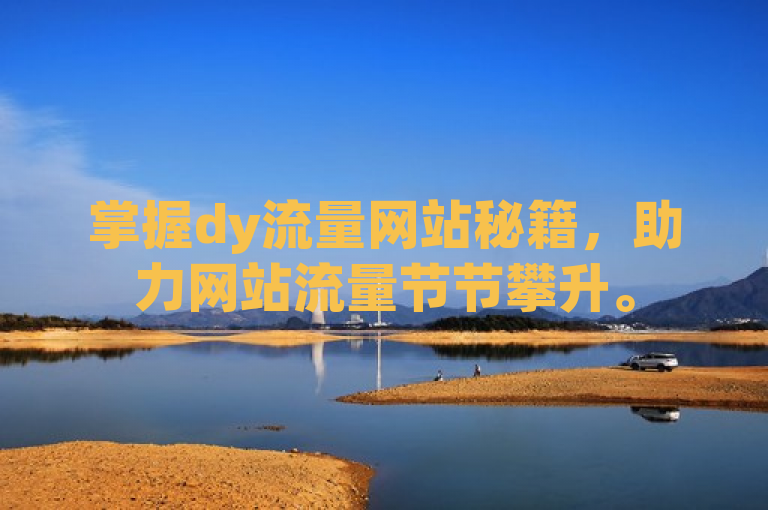 掌握dy流量网站秘籍，助力网站流量节节攀升。