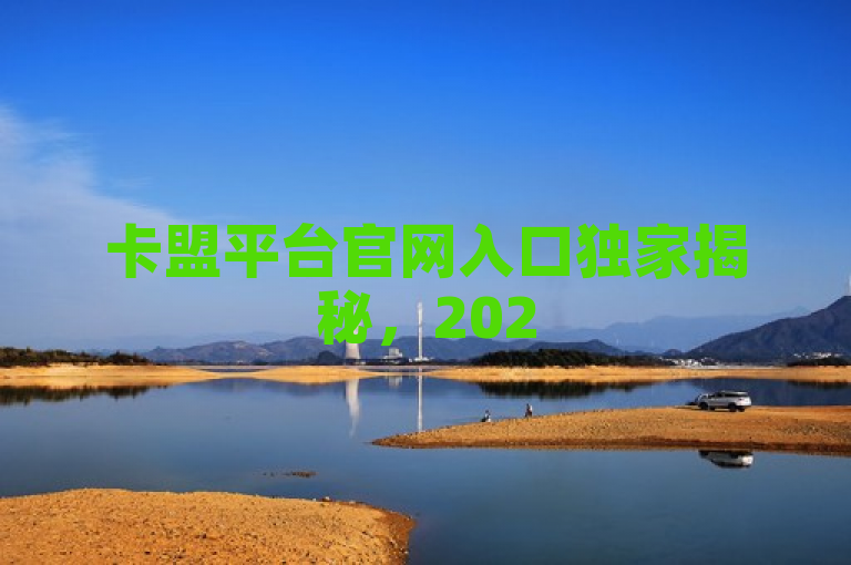 卡盟平台官网入口独家揭秘，2025必学的卡盟平台官网入口大全！