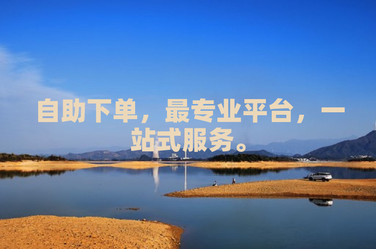 自助下单，最专业平台，一站式服务。