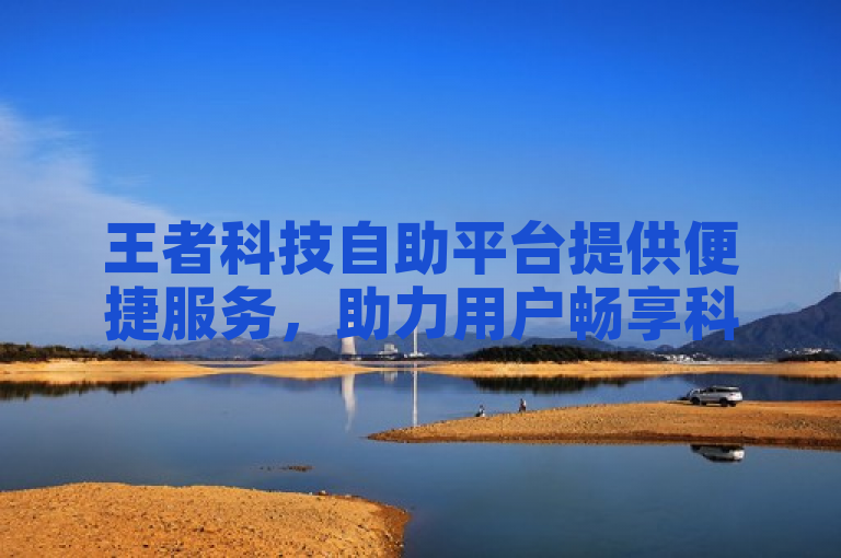 王者科技自助平台提供便捷服务，助力用户畅享科技新体验。