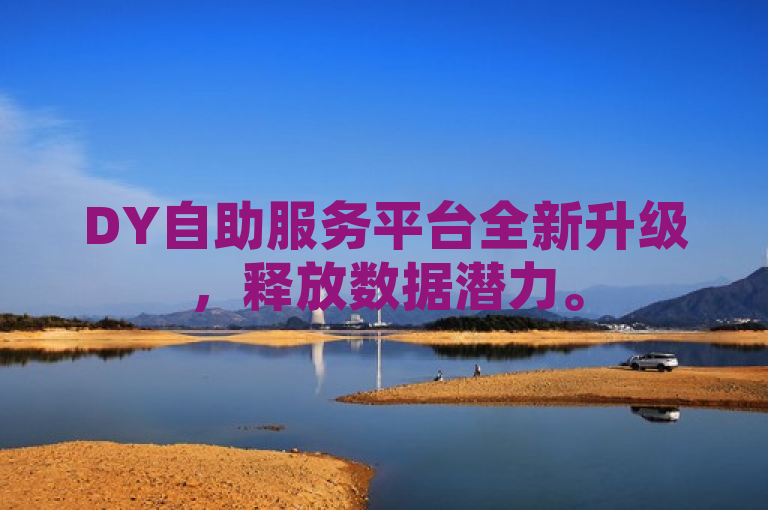 DY自助服务平台全新升级，释放数据潜力。