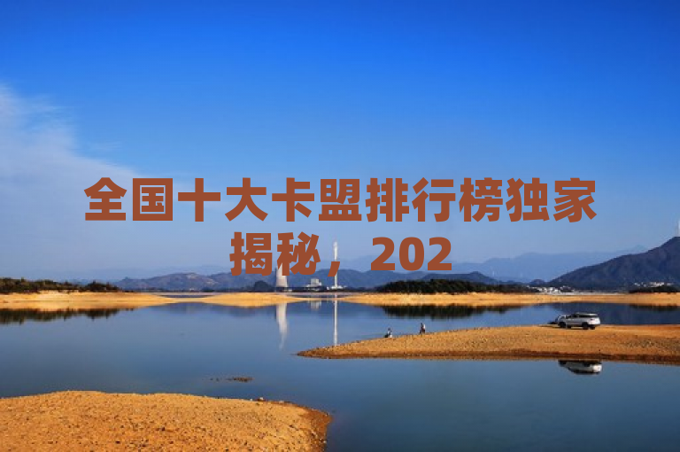 全国十大卡盟排行榜独家揭秘，2025年信用卡联盟排名大公开！
