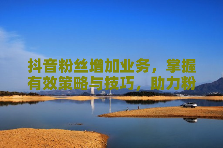 抖音粉丝增加业务，掌握有效策略与技巧，助力粉丝增长。