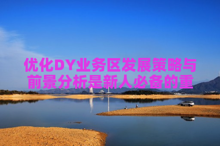 优化DY业务区发展策略与前景分析是新人必备的重要措施。