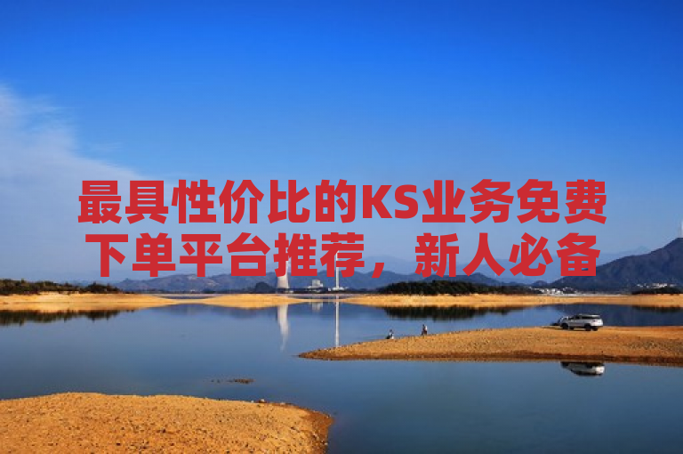 最具性价比的KS业务免费下单平台推荐，新人必备！