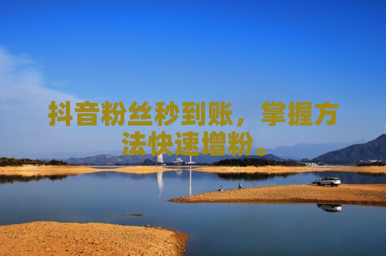 抖音粉丝秒到账，掌握方法快速增粉。