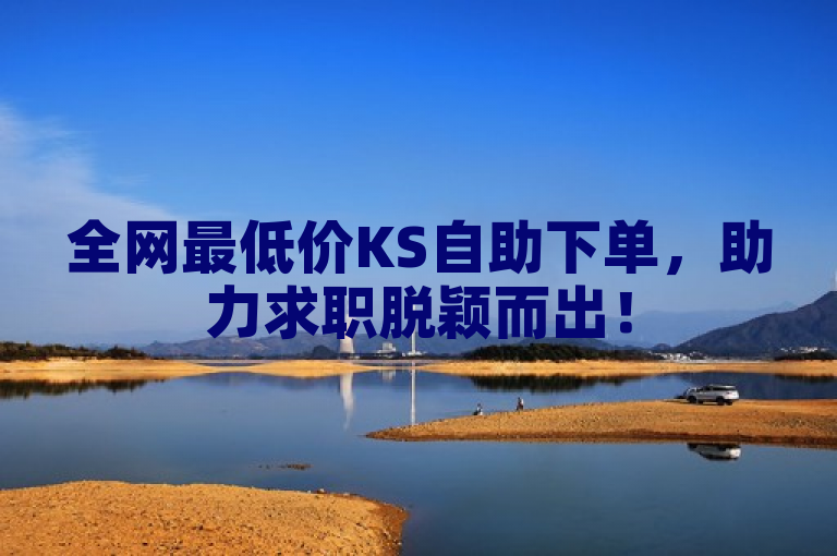 全网最低价KS自助下单，助力求职脱颖而出！