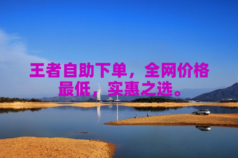 王者自助下单，全网价格最低，实惠之选。