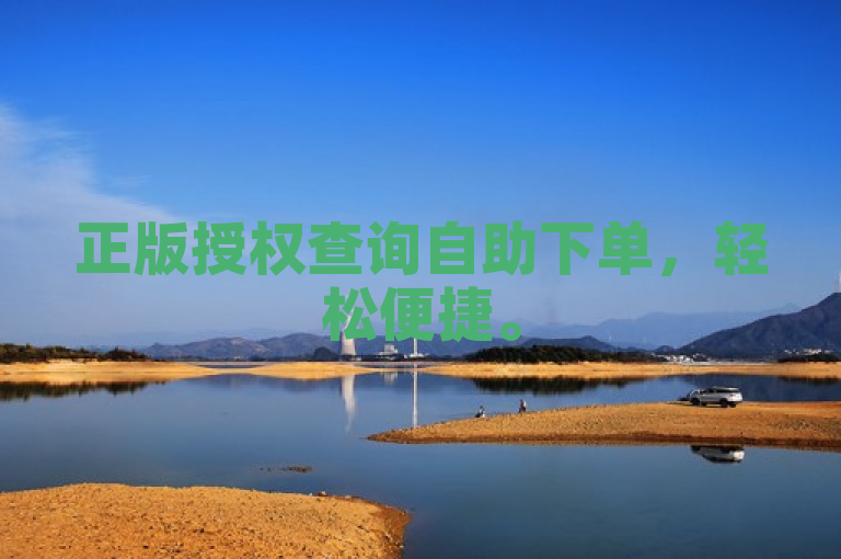 正版授权查询自助下单，轻松便捷。