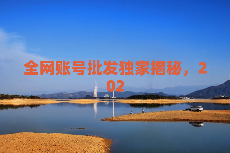 全网账号批发独家揭秘，2025必学大批量销售技巧。