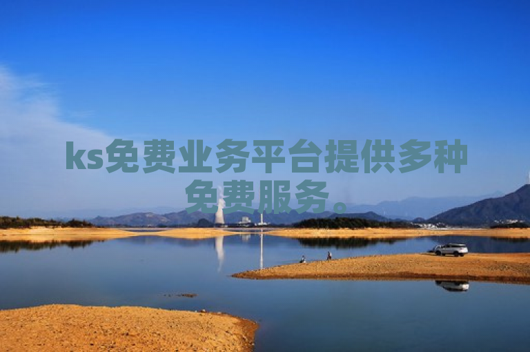 ks免费业务平台提供多种免费服务。