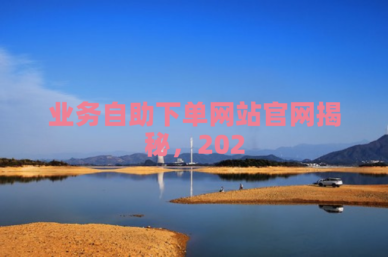 业务自助下单网站官网揭秘，2025必学快速简便的下单方法。