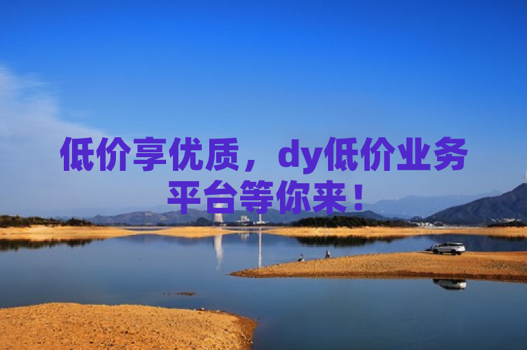 低价享优质，dy低价业务平台等你来！