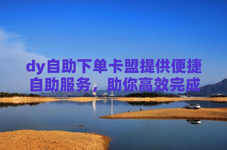 dy自助下单卡盟提供便捷自助服务，助你高效完成下单。
