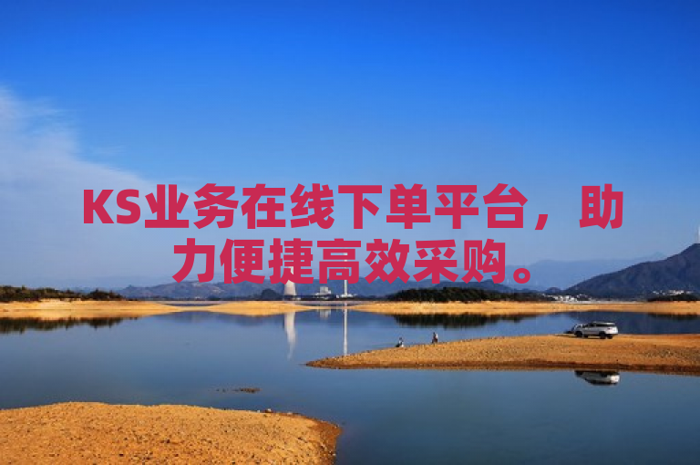 KS业务在线下单平台，助力便捷高效采购。