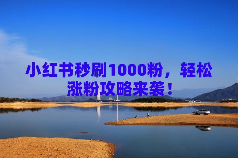 小红书秒刷1000粉，轻松涨粉攻略来袭！