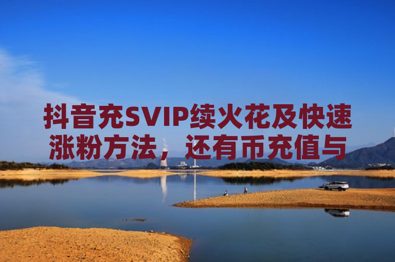抖音充SVIP续火花及快速涨粉方法，还有币充值与小号购买平台。