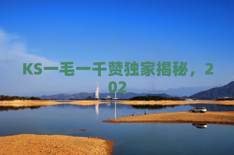 KS一毛一千赞独家揭秘，2025必学的KS每千赞推广攻略来啦！