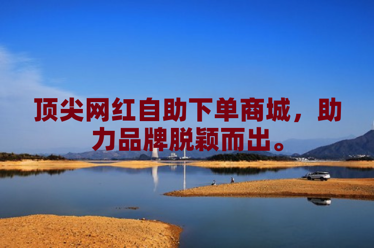 顶尖网红自助下单商城，助力品牌脱颖而出。