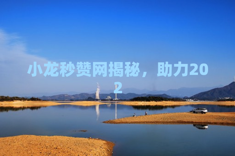 小龙秒赞网揭秘，助力2025社交媒体营销新突破！