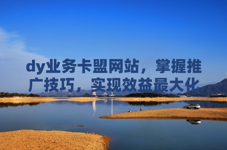 dy业务卡盟网站，掌握推广技巧，实现效益最大化。