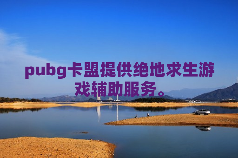 pubg卡盟提供绝地求生游戏辅助服务。