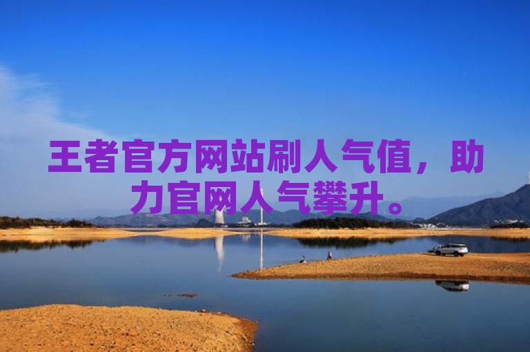 王者官方网站刷人气值，助力官网人气攀升。